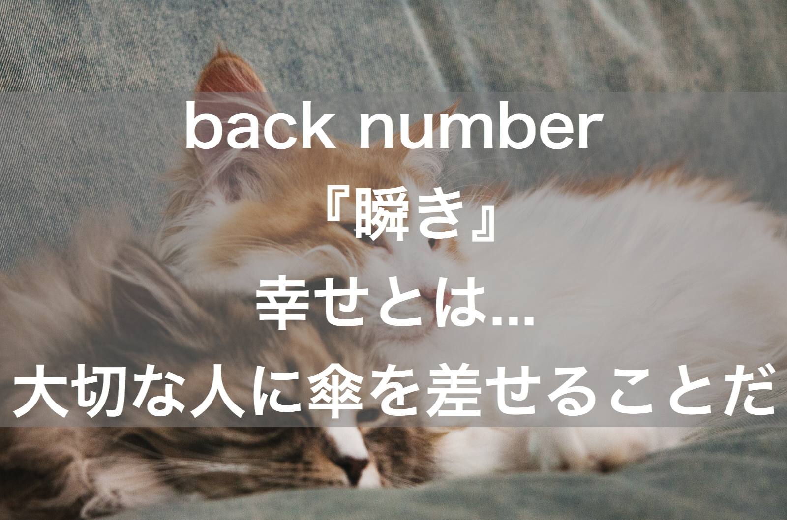 心に響いた歌 Back Number 瞬き 幸せとは 大切な人に傘を差せることだ ミクジログ