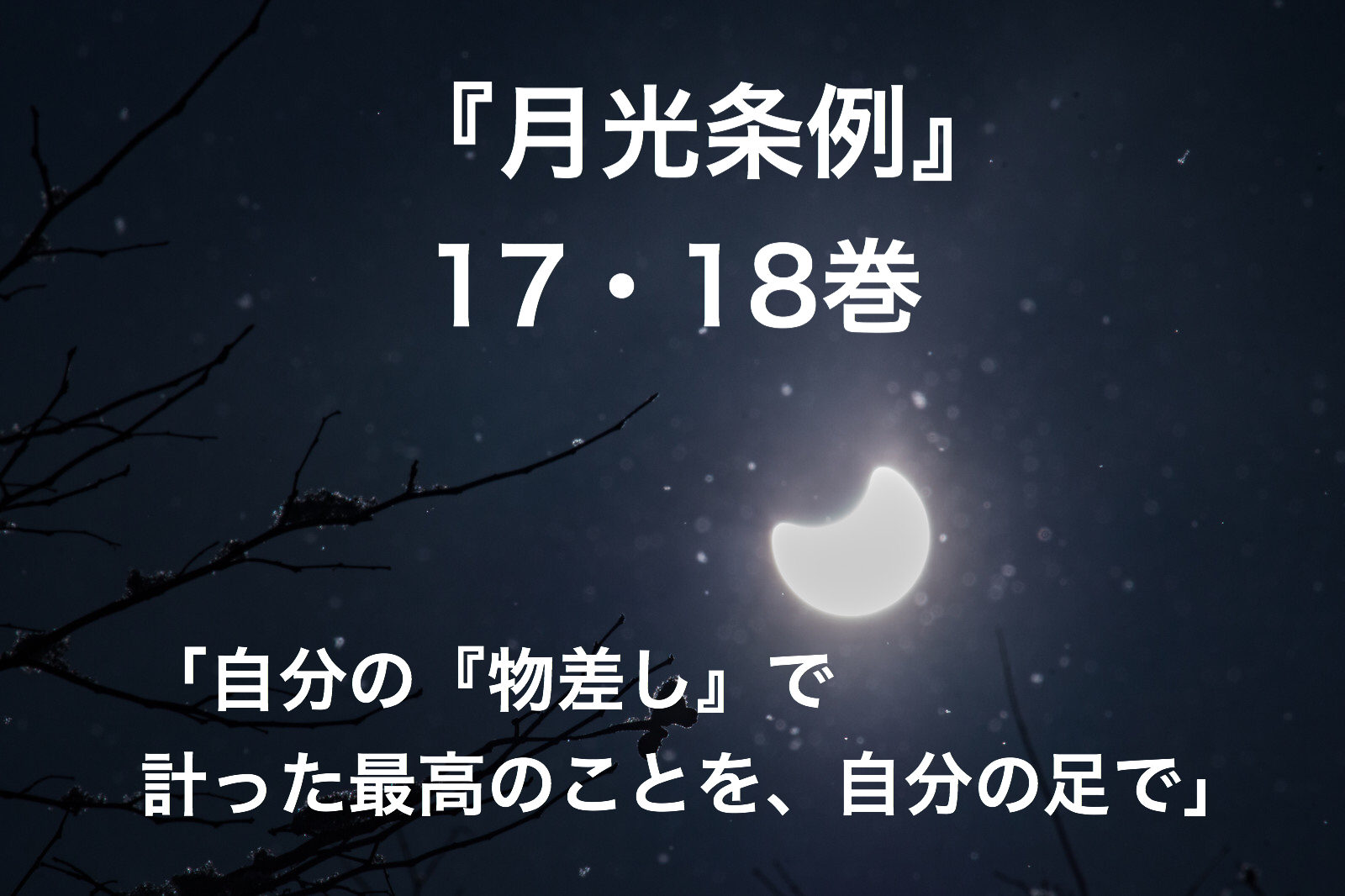 漫画の名言 センセイ 自分の物差しで計った最高のことを 自分の足で 月光条例 17 18巻 ミクジログ